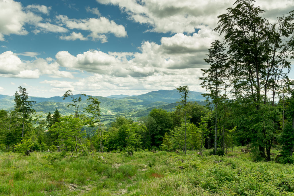 Beskid Żywiecki z dominującą Królową